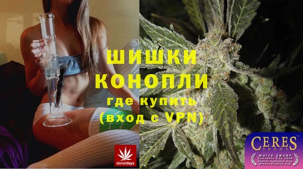 молекула духа Балахна
