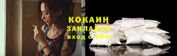 шишки Балабаново